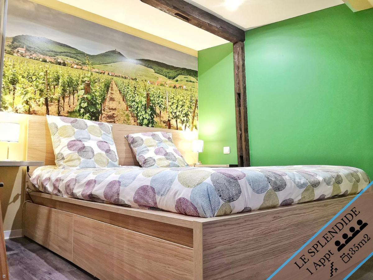 Splendide Appartement Barr - Route Du Vins Εξωτερικό φωτογραφία